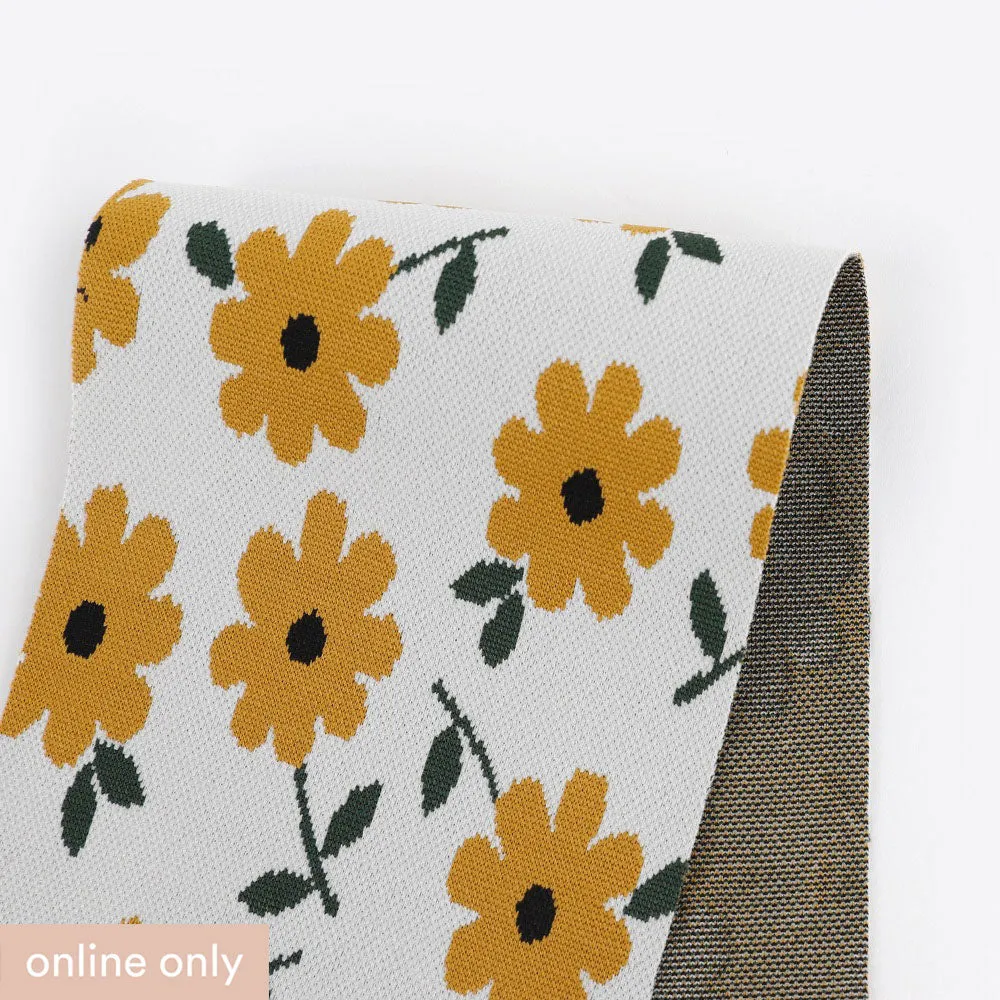 Flower Face Stretch Jacquard Knit - Calendula