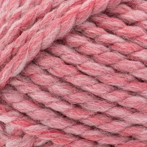 Lion Brand Wool-Ease Thick & Quick Yarn - Potion